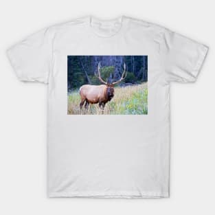 Bull Elk T-Shirt